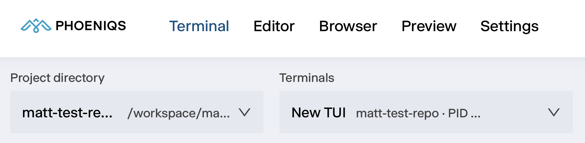 Phoeniqs AI Build: workspace tabs